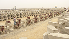 Shandong Longkou West Coast Artificial Island Perimeter Diking Project