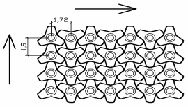 Tetrapod
