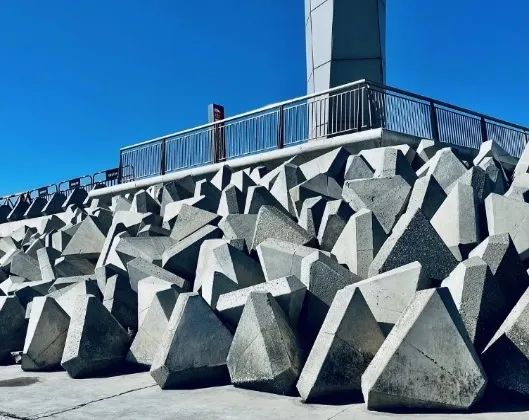 Appreciation of various tetrapods