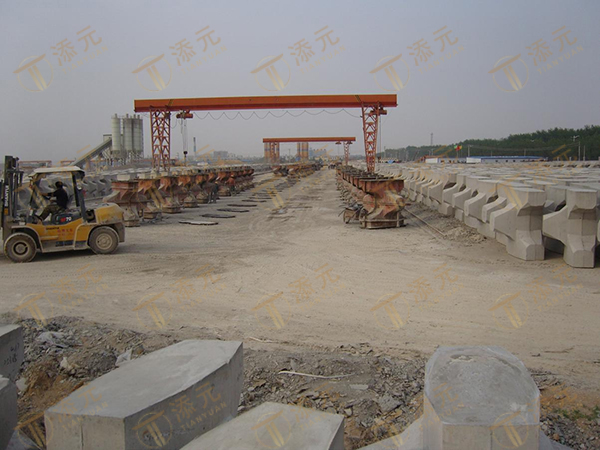 2T扭王字块体浇筑 (2).jpg