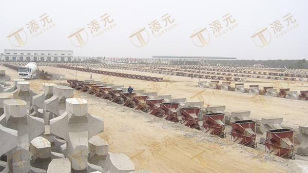 5T扭王字块体浇筑 (2).jpg