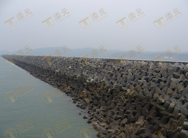 海堤扭王块体护坡全景.jpg 海堤扭王块体护坡全景.jpg