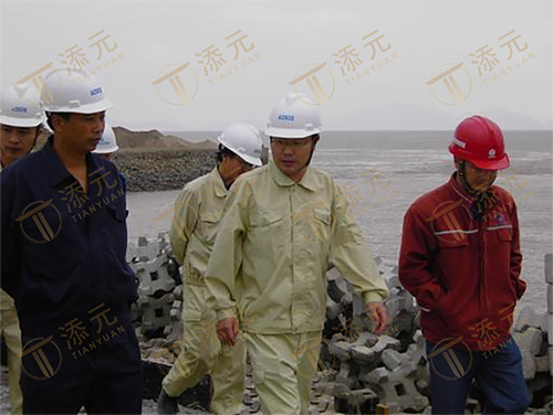 中化集团李从瑞总经理（中）视察工地.png