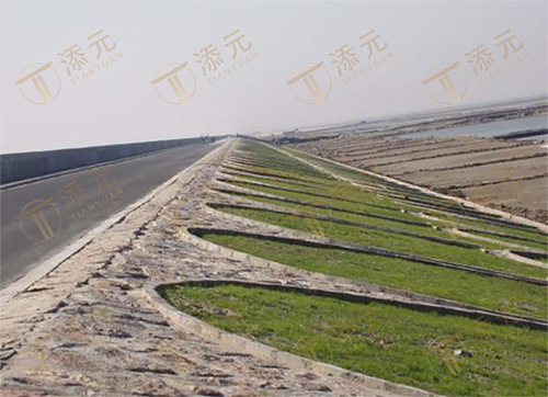 竣工海堤(三).jpg 竣工海堤(三).jpg