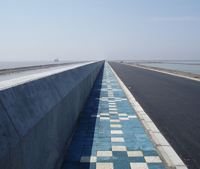 Jiangsu Datang Lvsi Power Plant Embankment Project