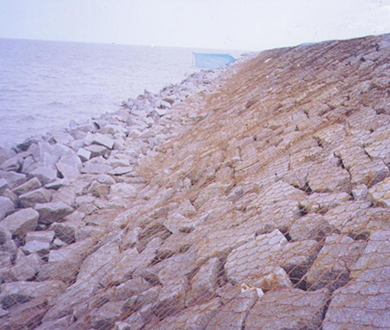 Section 8 of Nanhui Dongtan Sedimentation Promotion and Reclamation Phase I Project