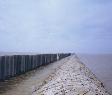 Nanhui Dongtan Promoting Siltation and Reclamation Phase II Project Section 5