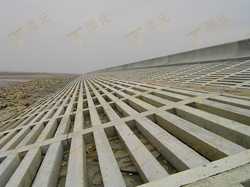 2003 Nanhui Dongtan Promoting Siltation and Reclamation Phase IV Project Section 1