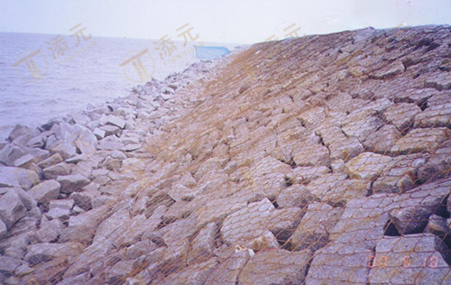 1999 Section 8 of Nanhui Dongtan Sedimentation Promotion and Reclamation Phase I Project