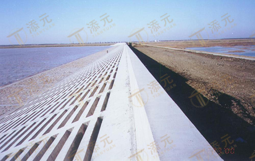 1998 Shanghai Pudong International Airport Seawall Phase I, Section III Project