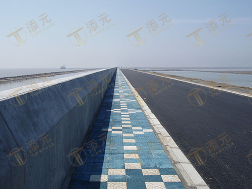 2003 Jiangsu Datang Lvsi Power Plant Embankment Project